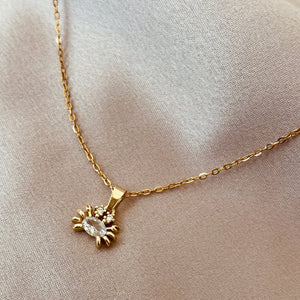 Collar cangrejito🦀