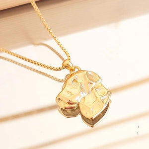 Collares de Labrador Retrivier 🦮❤️