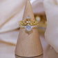 Anillo Corona Nori