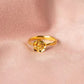 Anillo Xiy