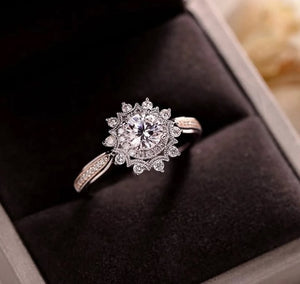 Anillo Ceci