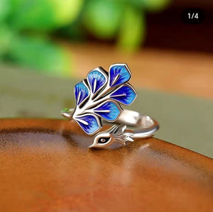 Anillo Bogga