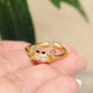 Anillo Pinci