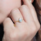 Anillos Liva