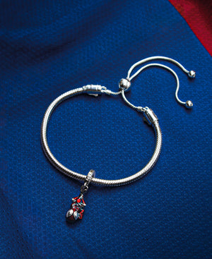 Charm Spiderman