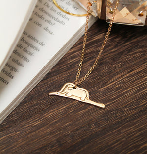 Collar Fely