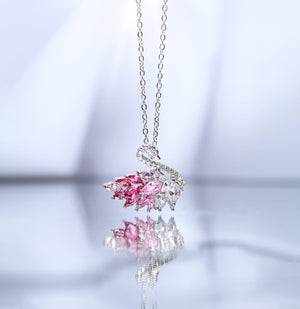 Collar Suly