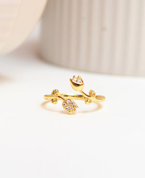 Anillo Tuli