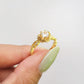 Anillo Ester