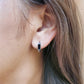 Aretes Corvus