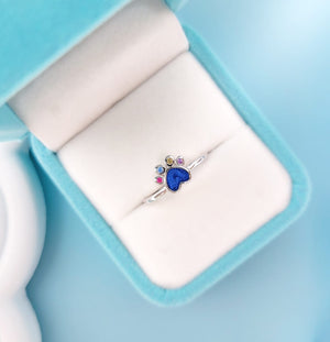 Anillo Dubbi