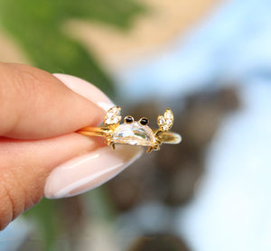 Anillo Pinci