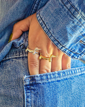 Anillo Pipo