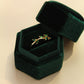 Anillo Febe