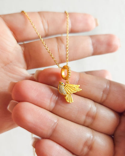 Collar Alen