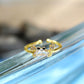 Anillo Pinci