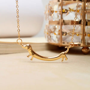 Collar Goldy 🐕