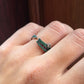 Anillo Rex
