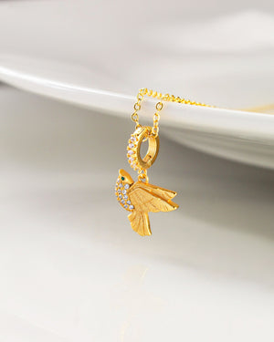 Collar Alen