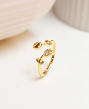 Anillo Tuli