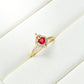 Anillo Gold Collection