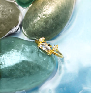 Anillo Pinci